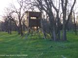 140 Cow Camp Road - Photo 73