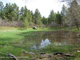 140 Cow Camp Road - Photo 84