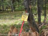 140 Cow Camp Road - Photo 87