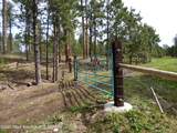 140 Cow Camp Road - Photo 88