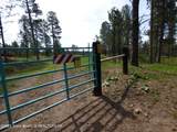 140 Cow Camp Road - Photo 89