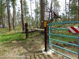 140 Cow Camp Road - Photo 90