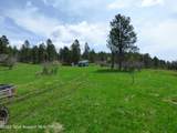 140 Cow Camp Road - Photo 99