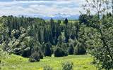TBD Marysville Hill Road - Photo 1