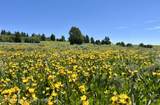 TBD Marysville Hill Road - Photo 12