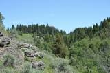 TBD Marysville Hill Road - Photo 15