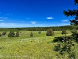 TBD Marysville Hill Road - Photo 8