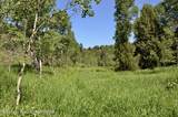 TBD Marysville Hill Road - Photo 9