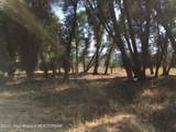 1000 Smiths Fork Road - Photo 54