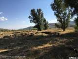 1000 Smiths Fork Road - Photo 8