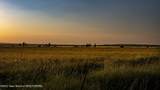 250 1750 N - Photo 9