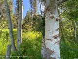 2 Hwy 34 - Photo 4