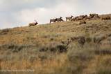 199 Twin Peaks Ranch Road - Photo 10