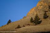 199 Twin Peaks Ranch Road - Photo 34