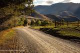 199 Twin Peaks Ranch Road - Photo 5
