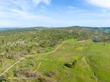 140 Cow Camp Road - Photo 3