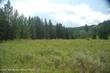 8355 Fall Creek Road - Photo 12