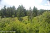 8355 Fall Creek Road - Photo 13
