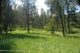 8355 Fall Creek Road - Photo 14