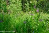8355 Fall Creek Road - Photo 18