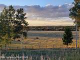 465 Rigby Road - Photo 81