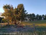 465 Rigby Road - Photo 85