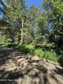 712 Stoor Drive - Photo 5