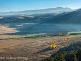 3550 Twin Creek Ranch Road - Photo 44
