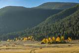 3550 Twin Creek Ranch Road - Photo 48
