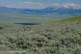  Valley Road - Photo 17