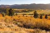 LOT 25 Tbd Old Jackson Highway - Photo 1