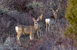 LOT 25 Tbd Old Jackson Highway - Photo 4