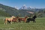 15400 Gros Ventre Road - Photo 3