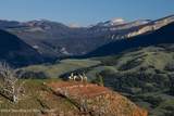 15400 Gros Ventre Road - Photo 14