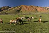 15400 Gros Ventre Road - Photo 22