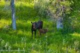 596 Wood River Road - Photo 45