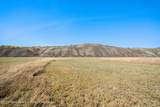 2100 Spring Gulch Road - Photo 3