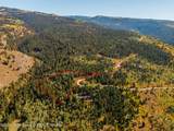 3100 Sorensen Creek Drive - Photo 10