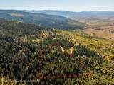 3100 Sorensen Creek Drive - Photo 8
