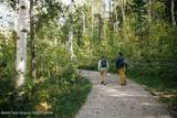 40 Blackfoot Trail - Photo 50
