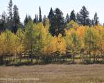 6255 Us Highway 22 - Photo 10