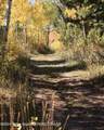 6255 Us Highway 22 - Photo 16