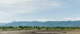 1367 Birch Berry Drive - Photo 2