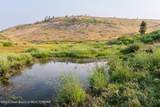 TRACT 17 Fisherman Creek Road - Photo 1