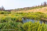 TRACT 17 Fisherman Creek Road - Photo 10