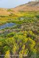 TRACT 17 Fisherman Creek Road - Photo 12