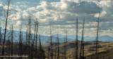 TRACT 17 Fisherman Creek Road - Photo 13