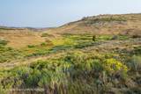 TRACT 17 Fisherman Creek Road - Photo 15