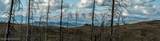 TRACT 17 Fisherman Creek Road - Photo 19