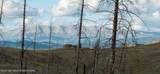 TRACT 17 Fisherman Creek Road - Photo 2